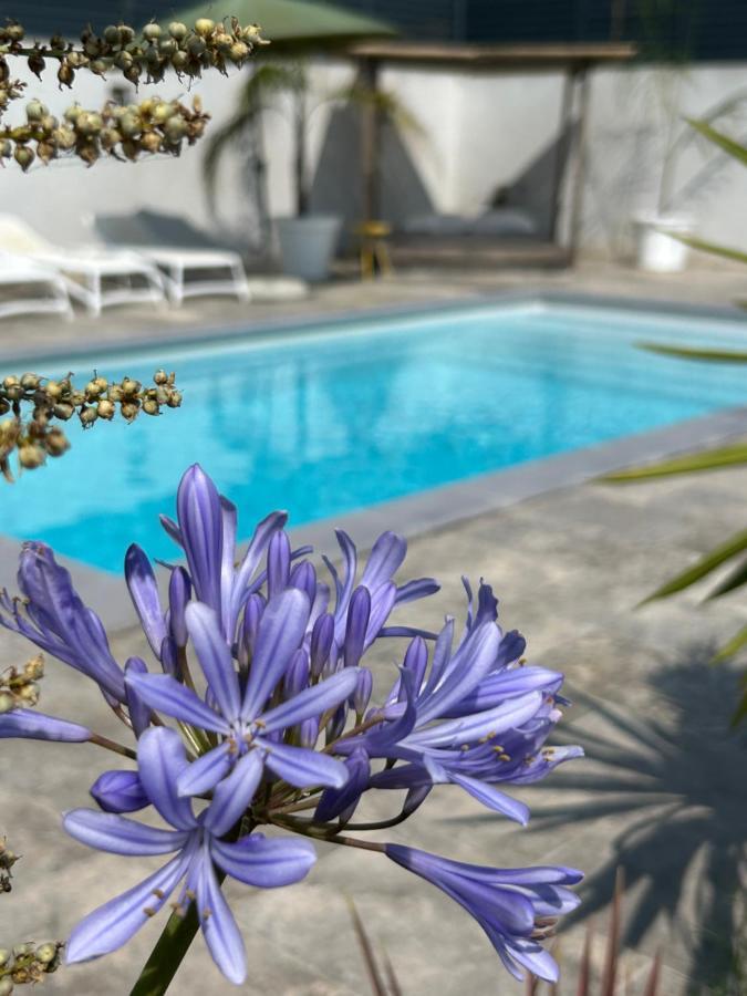 La Pointe D'Aspretto Villa อฌักซิโอ้ ภายนอก รูปภาพ